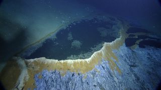 An underwater image of the brine pool with steep walls covered in yellow mineral flows.