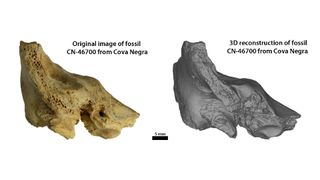 A temporal bone photo and 3D reconstruction