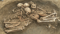 A photo of the skeletons found in the tomb